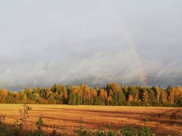 Фото номера Дом для отпуска Проживание в семье Tuka Talu г. Тори 11